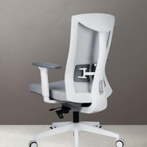 Silla de oficina ergonomica INNOWIN