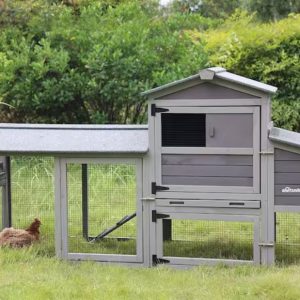 Gallinero al aire libre para 2-3 gallinas AIVITUVIN